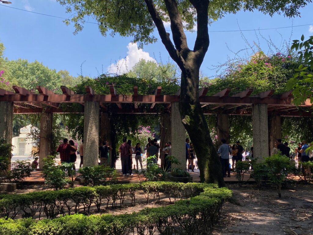 people in a park taking a bachata class