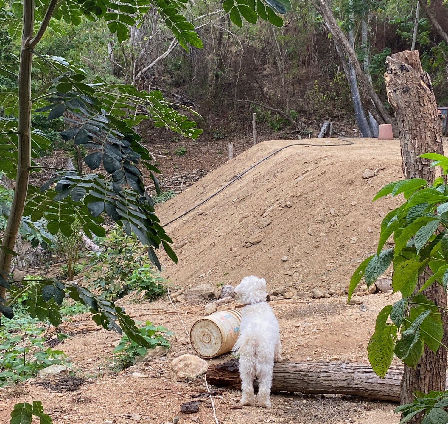 The Sound of Land and Why We’re Moving